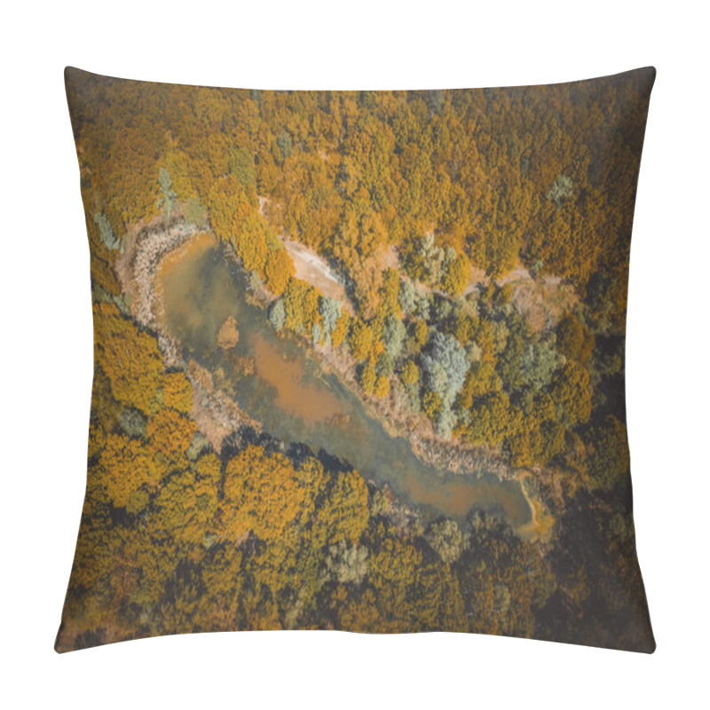 Personality   Lake Surrounded By Yellow Autumn Forest. Top View Of A Mysterious Lake  Pillow Covers