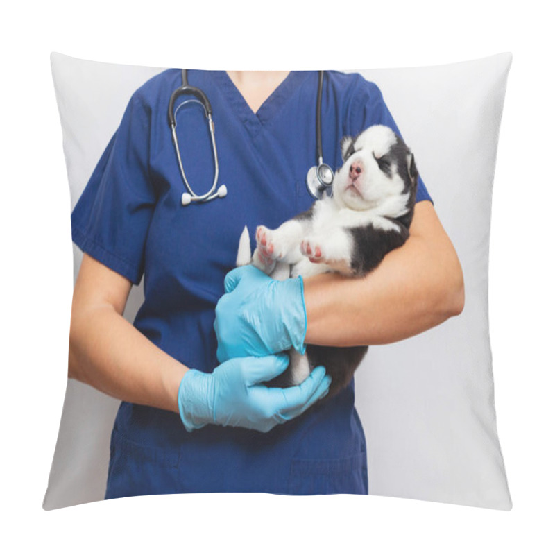 Personality  A Veterinarian In Blue Scrubs Holding A Sleeping Puppy While Wearing Latex Gloves And A Stethoscope Around Their Neck. Studio Portrait Showing Veterinary Care Pillow Covers