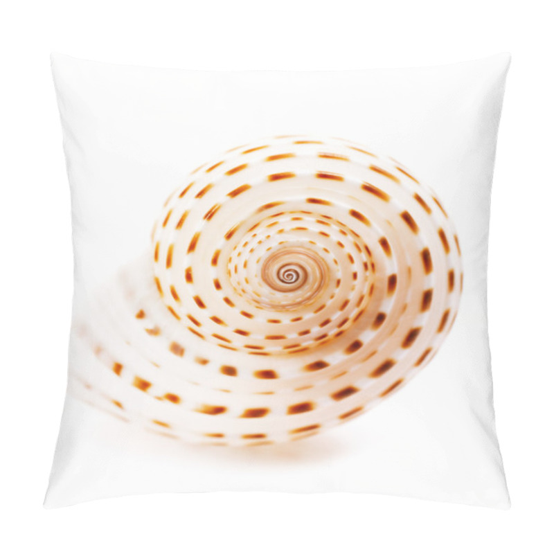 Personality  Sea shell Tonna Tesselata isolated on white pillow covers