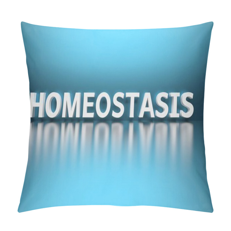 Personality  Word Scientific Term Homeostasis On Blue Background Pillow Covers