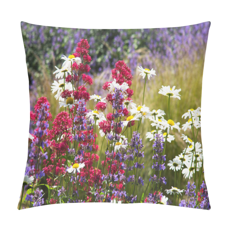 Personality  Daisies On Meadow,flowers And Plants In Summer Pillow Covers