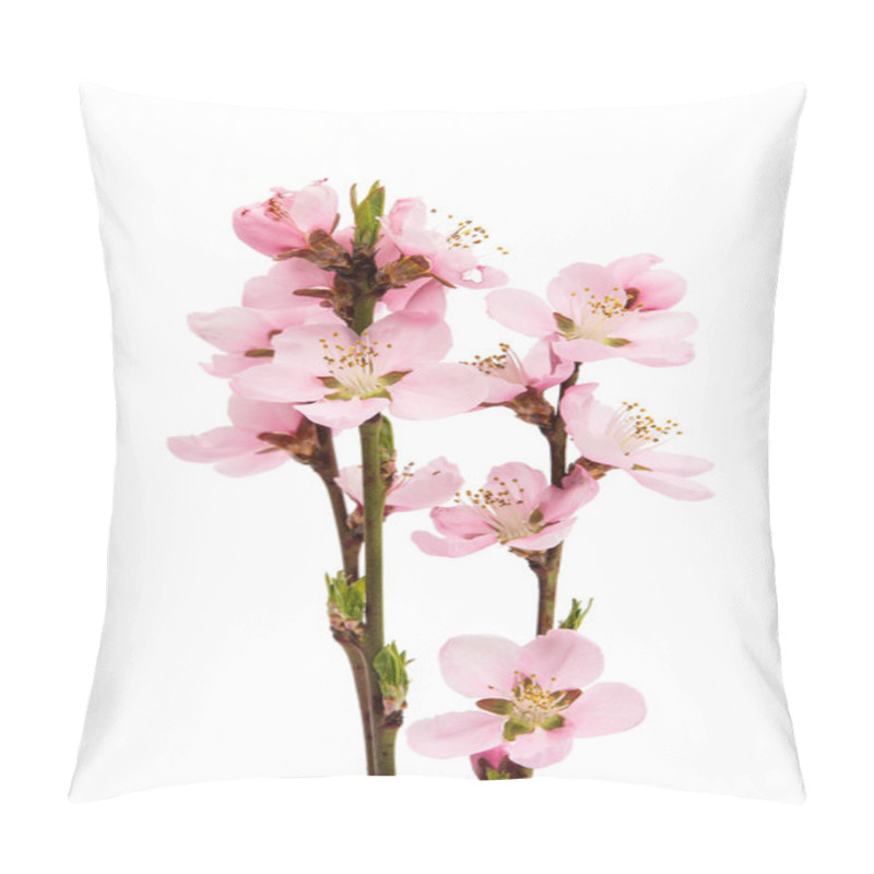 Personality  Cherry Blossom, Sakura Flowers  Pillow Covers