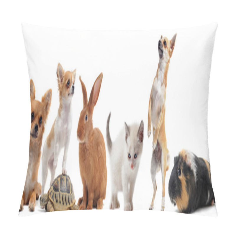 Personality  Group Of Pets Pillow Covers