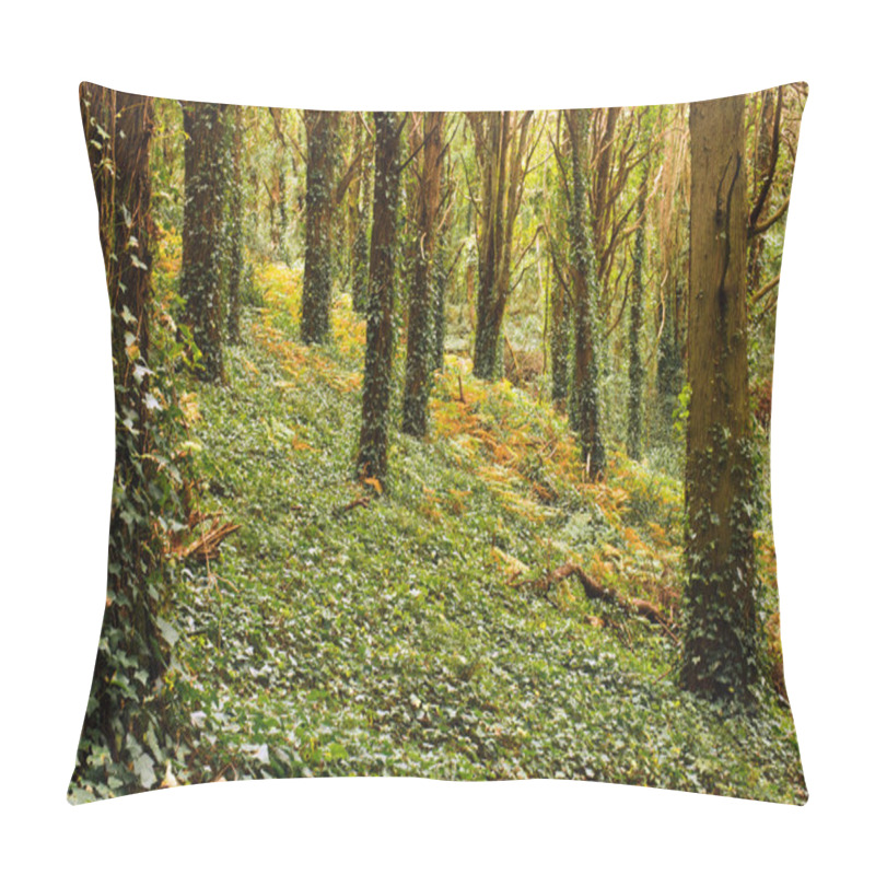 Personality  Forest Trees Pillow Covers