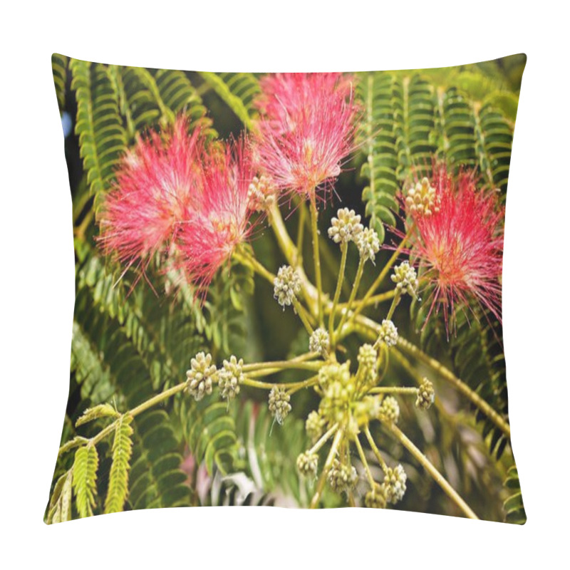 Personality  Flower On A Tree Named Albizia Pillow Covers