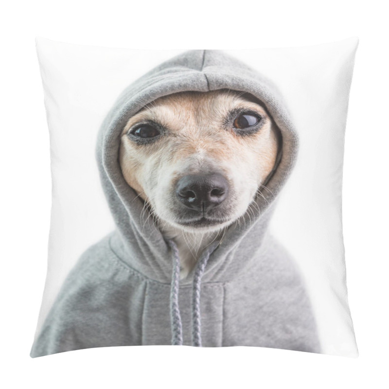 Personality  A Serious Focused Look With Contempt. Haughty Judgmental Dog Face In Hood. Funny Dog Calm Mood. White Background Pillow Covers