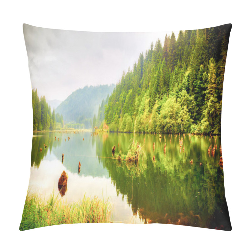 Personality  The Red Lake In Romania Pillow Covers