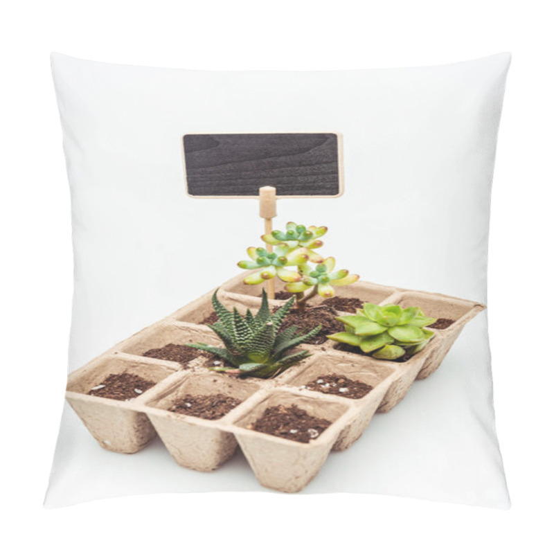 Personality  Potted Succulents With Blackboard Isolated On White, Earth Day Concept Pillow Covers