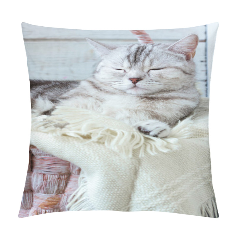 Personality  Grey Brittish Cat Laying In Basket Over White Wooden Background. Pillow Covers