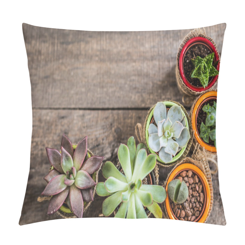 Personality  Succulents, House Plants Pillow Covers