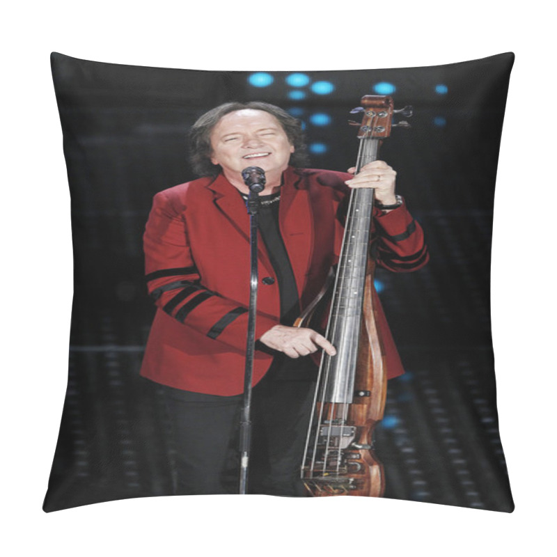 Personality  Singer Red Canzian Pillow Covers