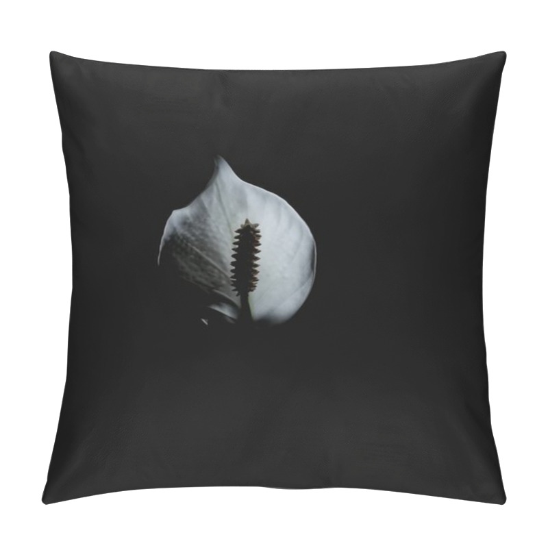 Personality  White Delicate And Elegant Spathiphyllum Flower (woman's Happiness). Blurred Background Pillow Covers