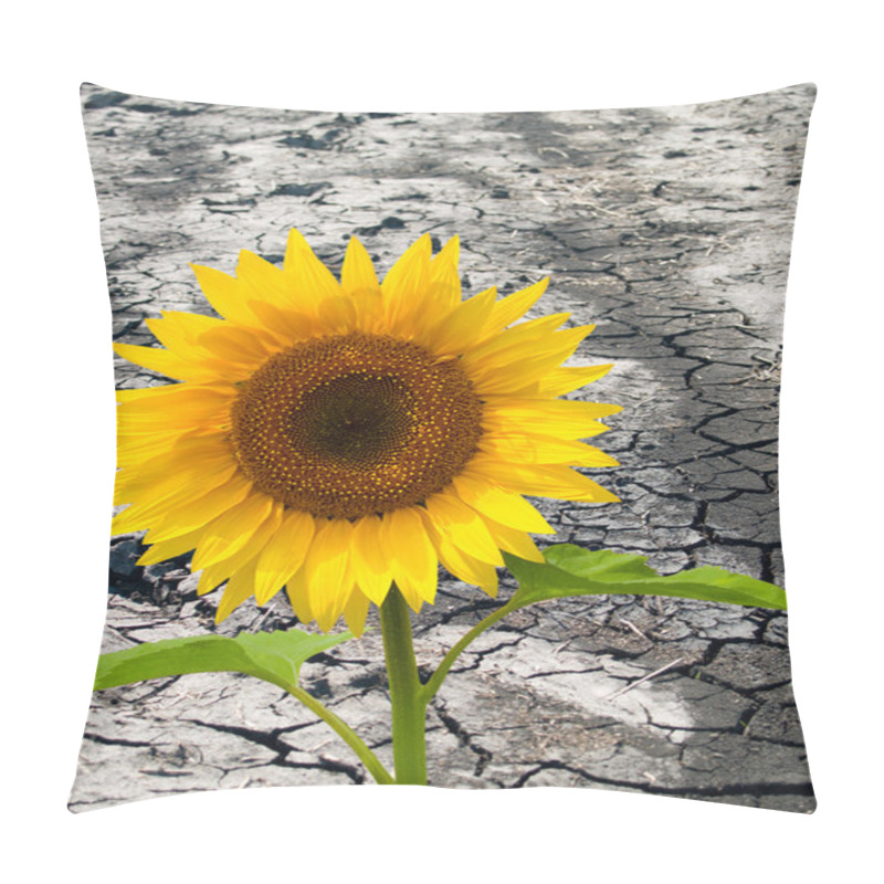 Personality  Sunflowers Pillow Covers