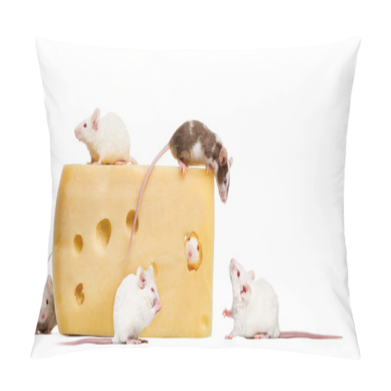 Personality  Mouse On Top Of A Big Piece Of Cheese, Looking Down At A Group O Pillow Covers