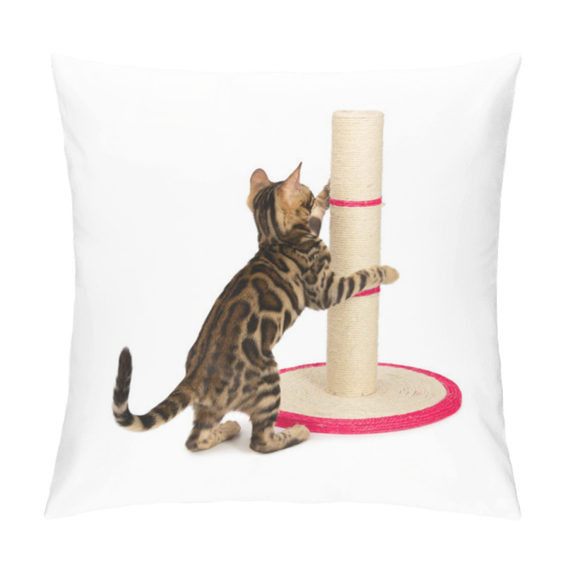 Personality  Cute 4 Month Old Bengal Kitten Sharpening Claws On Scratching Post. Black Spotted Tabby Bengal Kitten With Large Rosettes And Clean Background Isolated On White Background. Pillow Covers