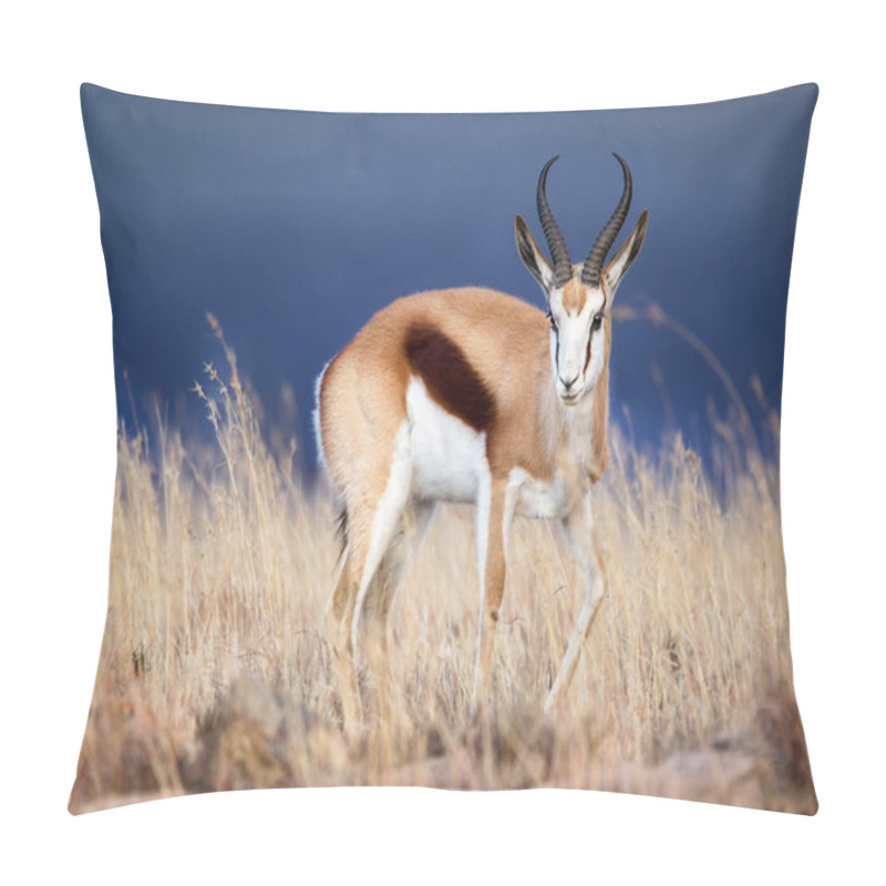 Personality  Portrait Of Wild Antelope In Natural Surroundings Of Savanna  Pillow Covers