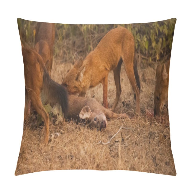 Personality  Asiatic Wild Dog Group Pillow Covers