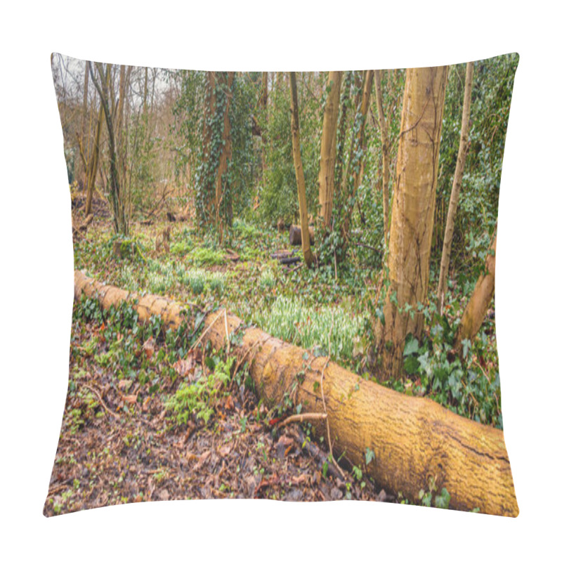 Personality  Fallen Tree Trunk Nestled In A Tranquil Forest, Surrounded By Lush Foliage And Natural Textures. Captures The Beauty And Serenity Of Untouched Wilderness. Pillow Covers