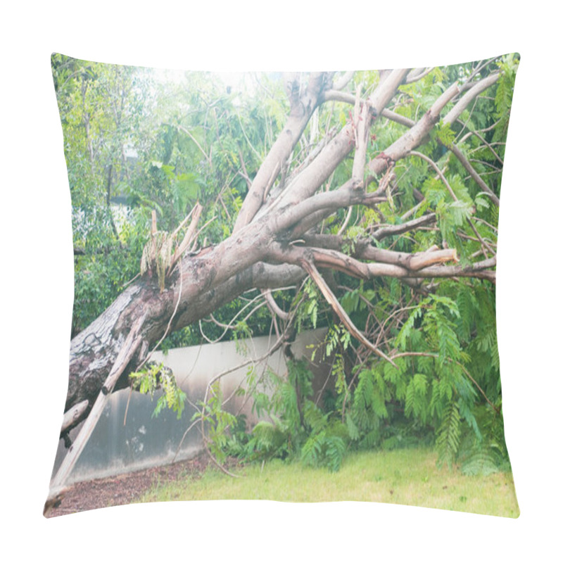 Personality  Fallen Big Tree Damage By Natural Windstorm Pillow Covers