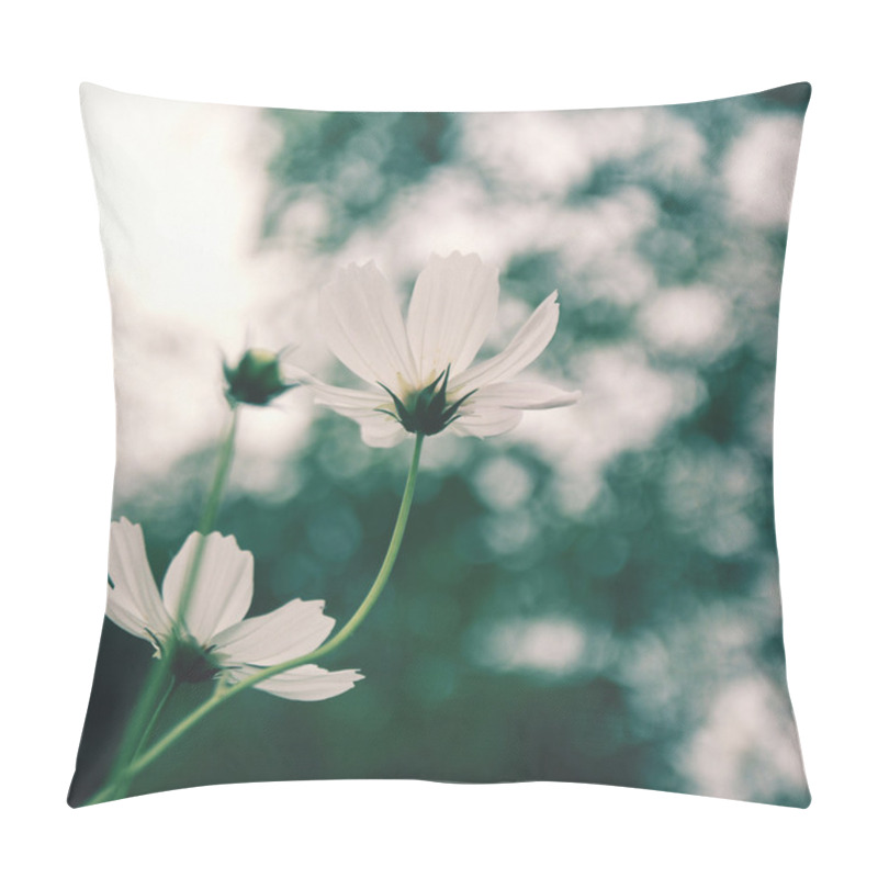 Personality  White Cosmos Flowers Pillow Covers