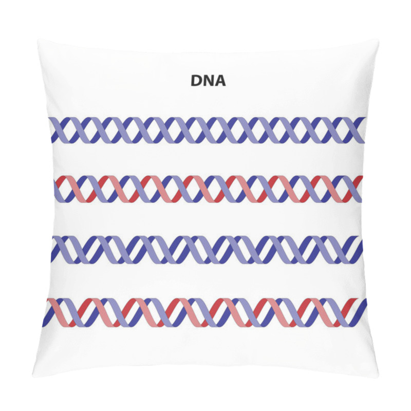 Personality  DNA (deoxyribonucleic Acid) Set On A White Background Pillow Covers