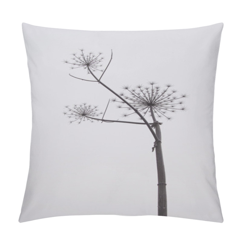 Personality  Cow Parsnip Silhouette Pillow Covers