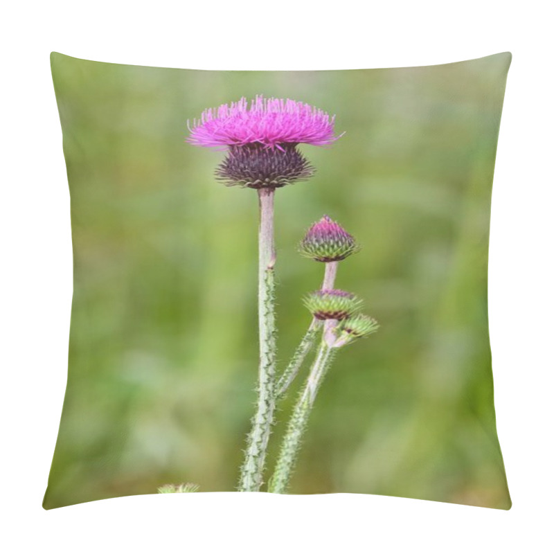 Personality  Natural Thorns, Purple Flowering Thorn Photos Pillow Covers