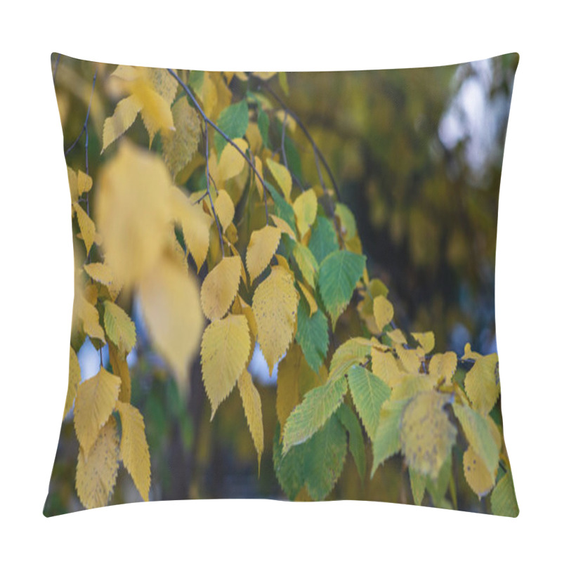 Personality  A Cascade Of Yellow And Green Birch Leaves Creates A Soft, Layered Texture, Set Against The Bokeh Of A Tranquil Park In The Gentle Light Of Autumn. Pillow Covers