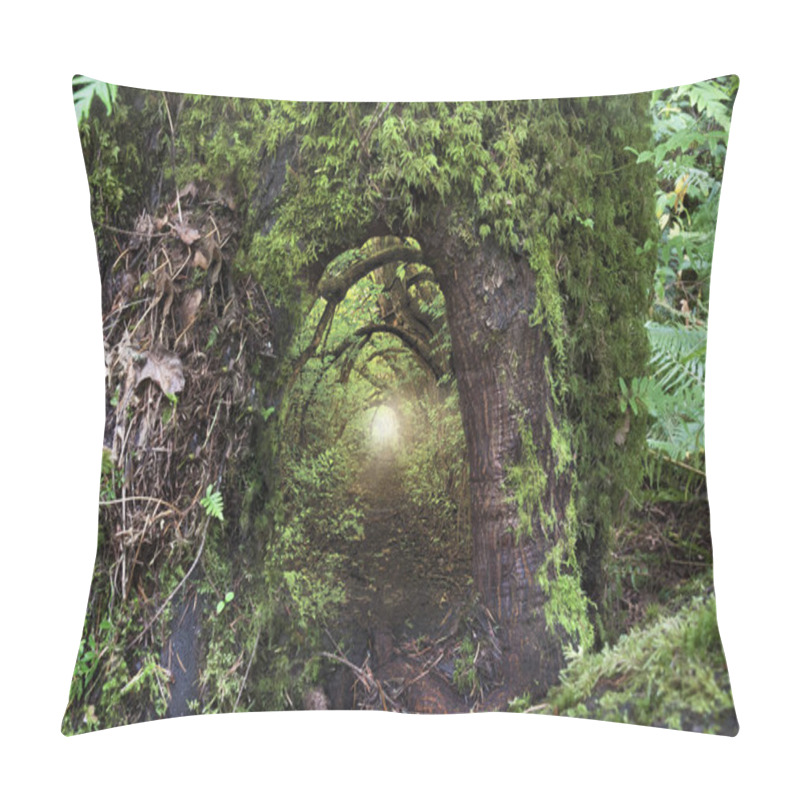 Personality  Ancient Mossy Tree With Open Doorway And Fairy Light Pillow Covers