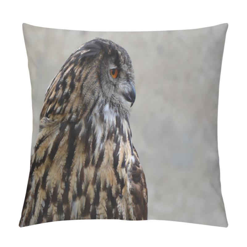 Personality  Eurasian Eagle Owl (Bubo Bubo) Pillow Covers