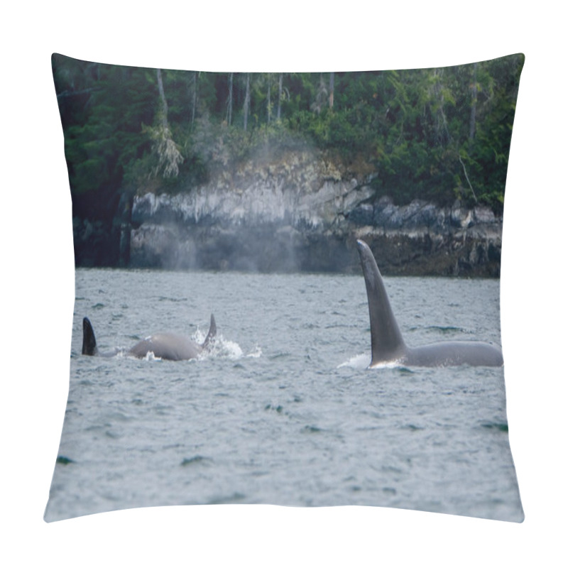 Personality  Two Killer Whales In Tofino With The Fin Above Water, View From Boat On Two Killer Whale Pillow Covers