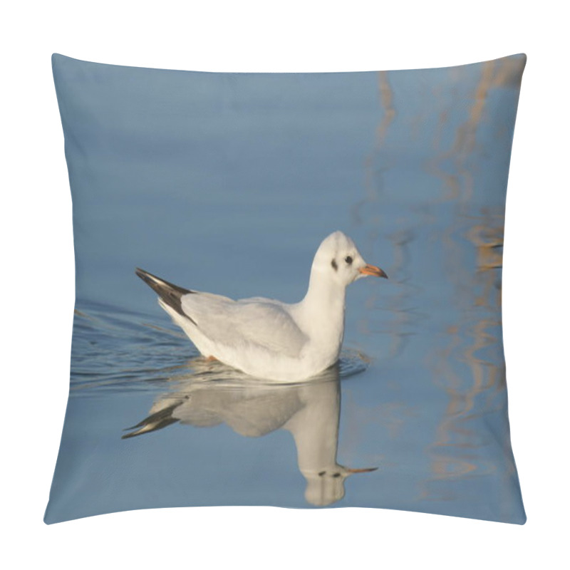 Personality  Black-headed Gull - (Chroicocephalus Ridibundus)  Pillow Covers