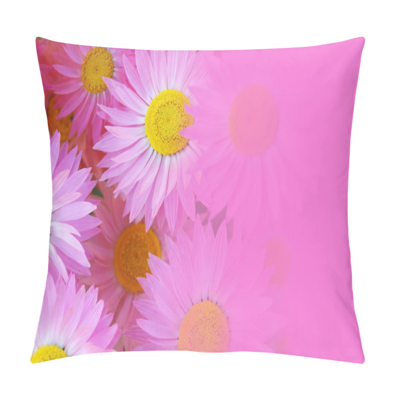 Personality  Daisies Pillow Covers