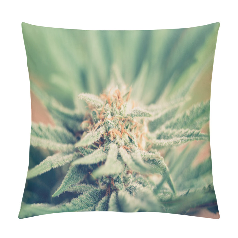 Personality  Cannabis Flowering Pillow Covers