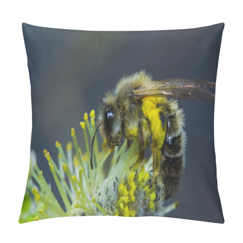 Personality  Working Bee Pillow Covers