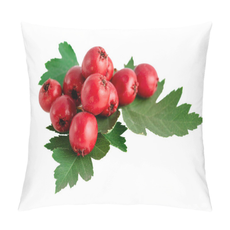 Personality  Hawthorn Haws Or Berries With Leaves Isolated On White Pillow Covers