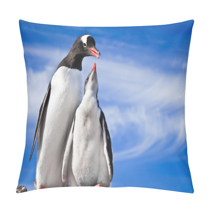 Personality  Two Penguins Resting On The Stony Coast Of Antarctica Pillow Covers