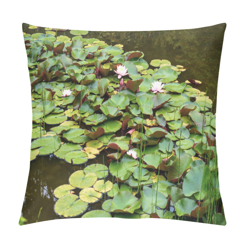 Personality  Beautiful Pink White Waterlily Or Lotus Flower On A Pond That Can Be Used With Text Or As A Background. Pillow Covers