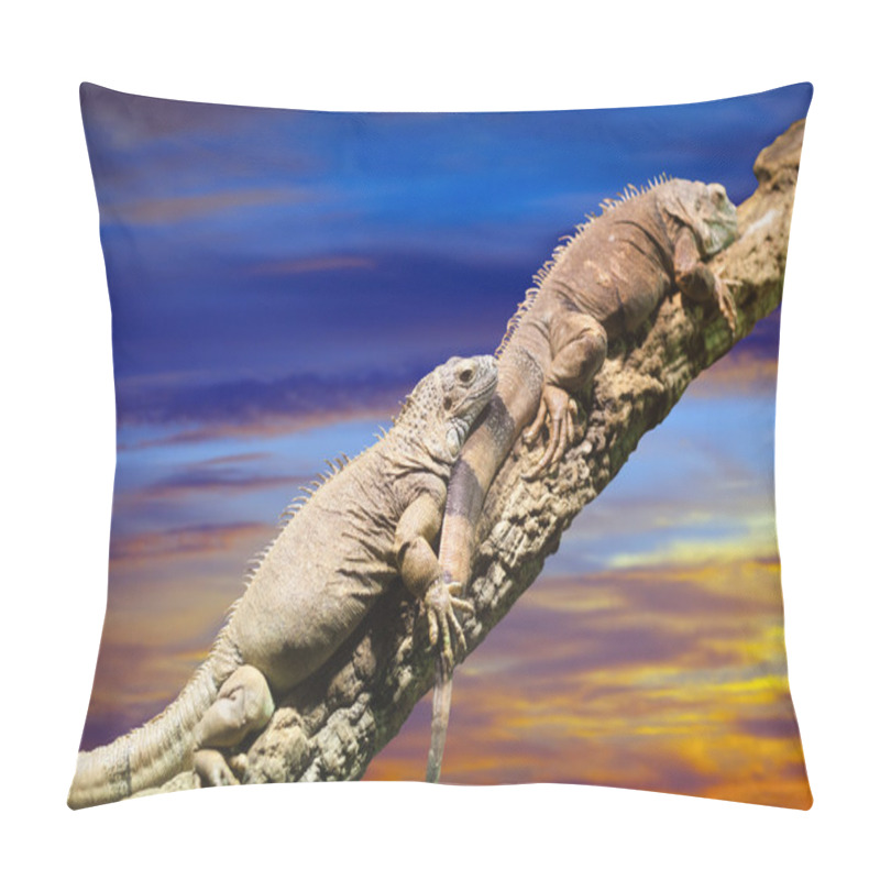 Personality  Few Lizards In Sunset Pillow Covers