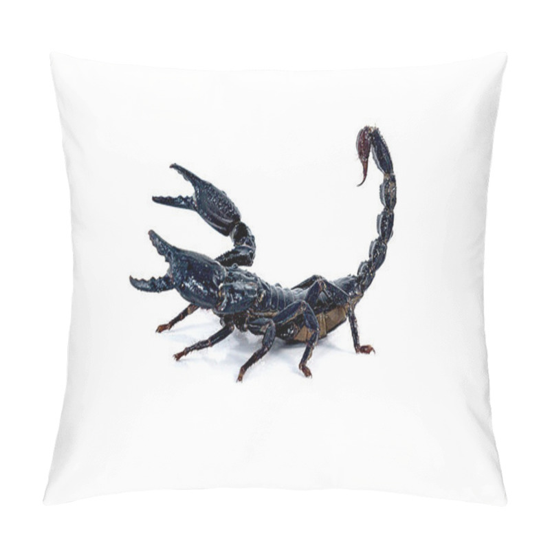 Personality  Scorpion Pillow Covers