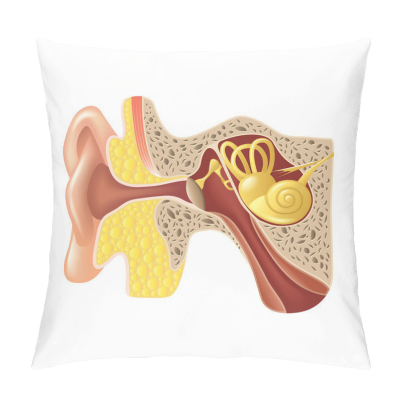 Personality  Ear Anatomy Isolated On White Vector Pillow Covers