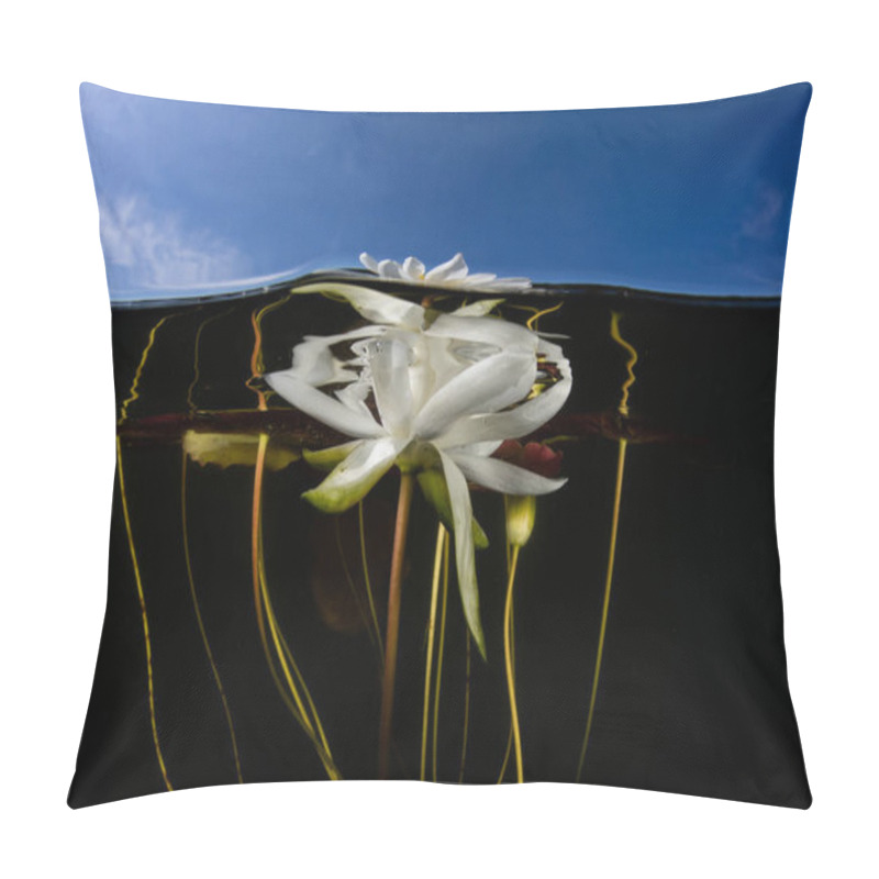 Personality  Lily Flower Underwater In Lake Pillow Covers