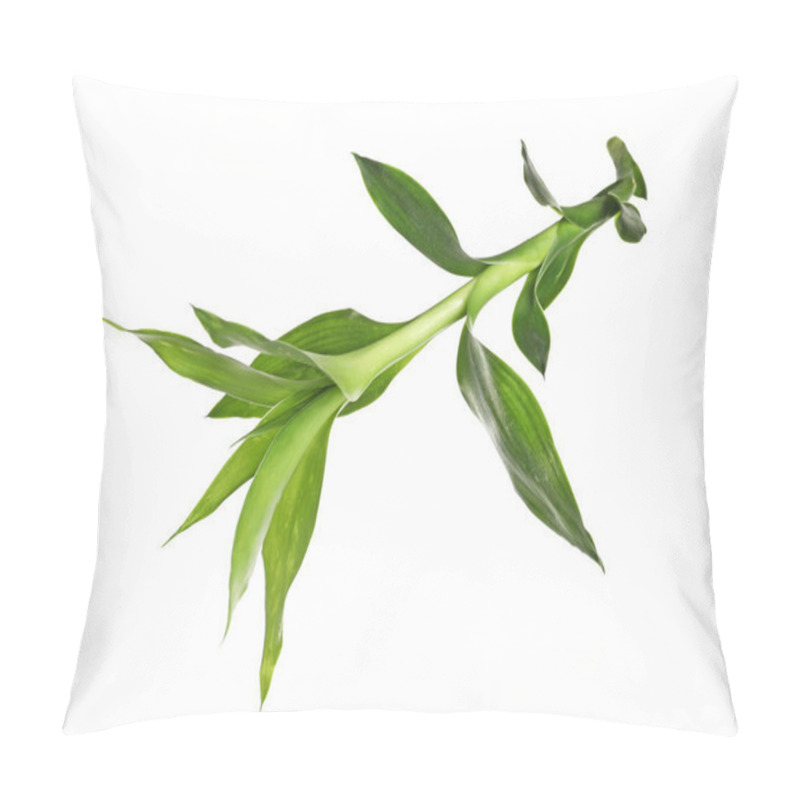 Personality  Beautiful Green Bamboo Leaves On White Background Pillow Covers