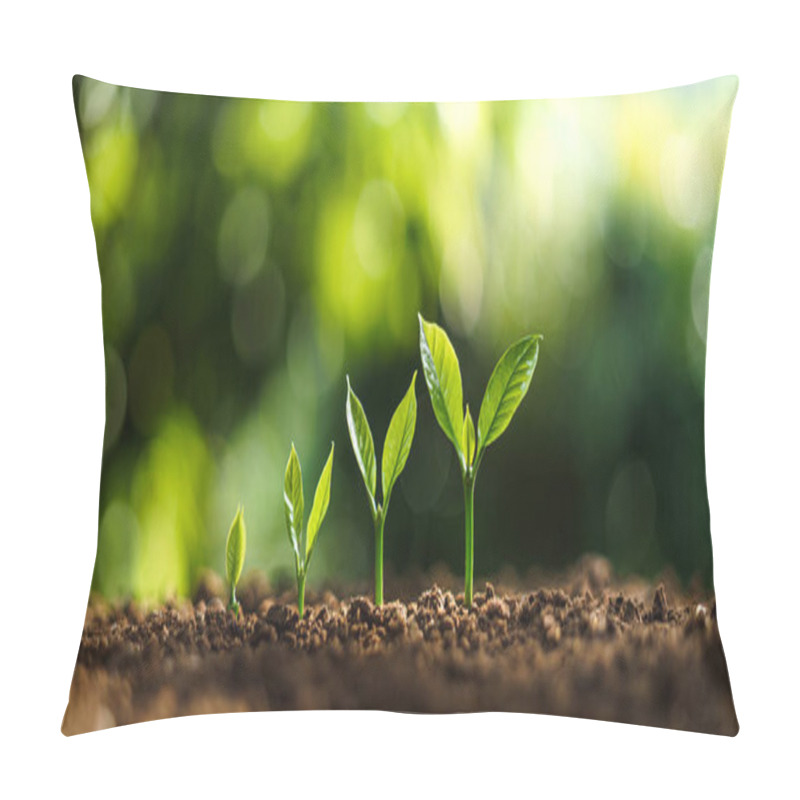 Personality  Tree Growth In Nature And Beautiful Morning Lighting	 Pillow Covers