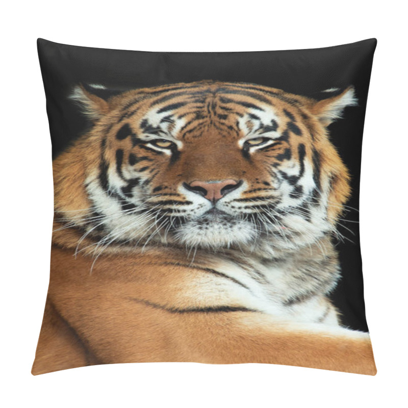 Personality  Beautiful Tiger Portrait On Black Background Pillow Covers