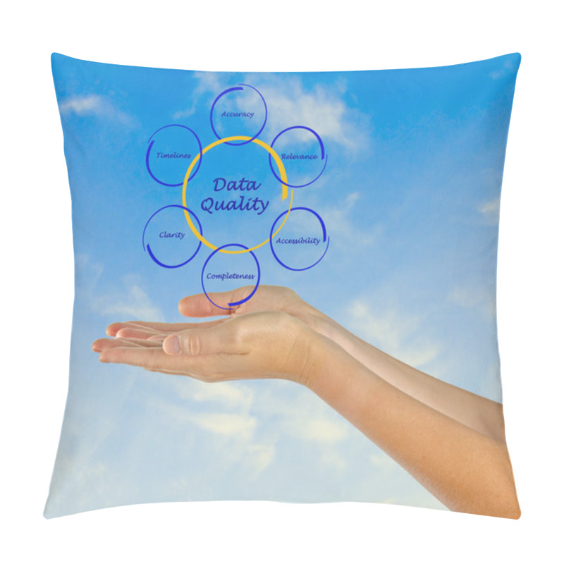 Personality  Diagram Of Data Quality Pillow Covers