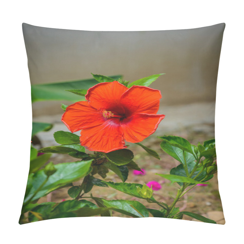 Personality  Hibiscus Flower. Shallow DOF Pillow Covers