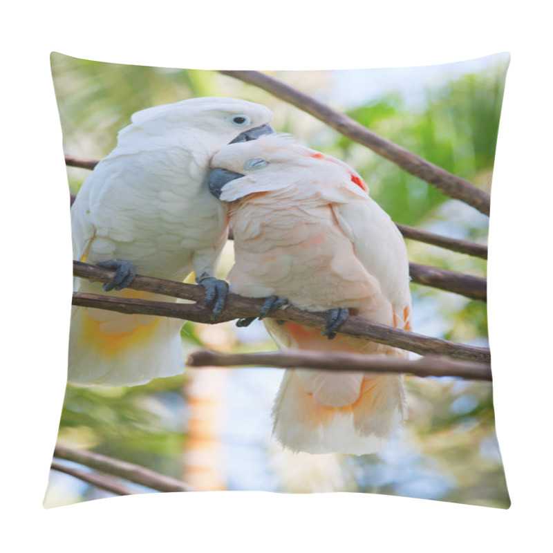 Personality  Pair Of Cockatoo Parrots On The Tree Pillow Covers