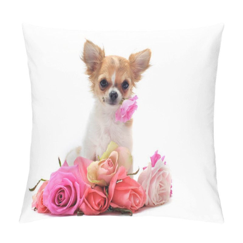 Personality  Puppy Chihuahua And Flower Pillow Covers