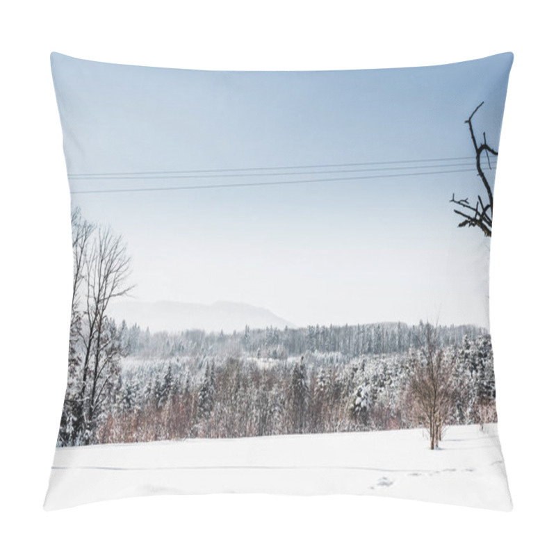 Personality  Snowy White Forest In Carpathian Mountains With Clear Blue Sky Pillow Covers